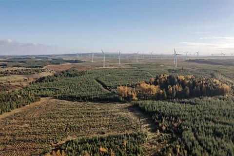 undefined, Dura Forest, Allanton, North Lanarkshire, ML2