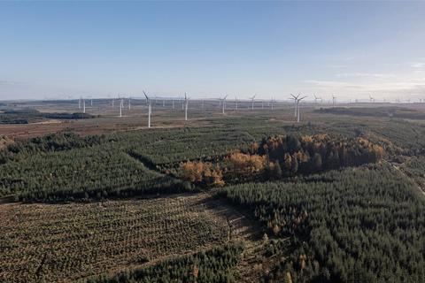 undefined, Dura Forest, Allanton, North Lanarkshire, ML2