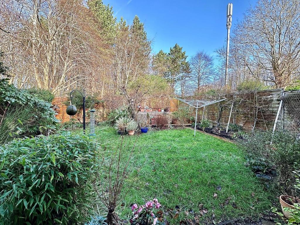 Garden.jpg
