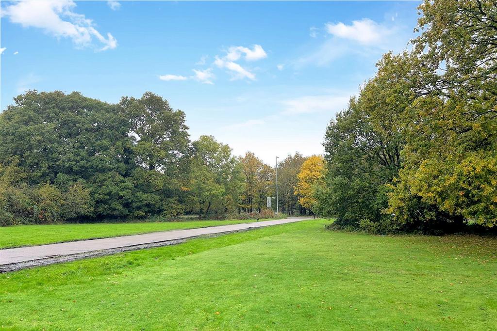 Birch View 18