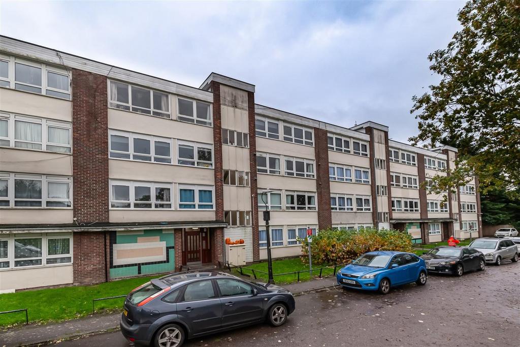 Birch View 20