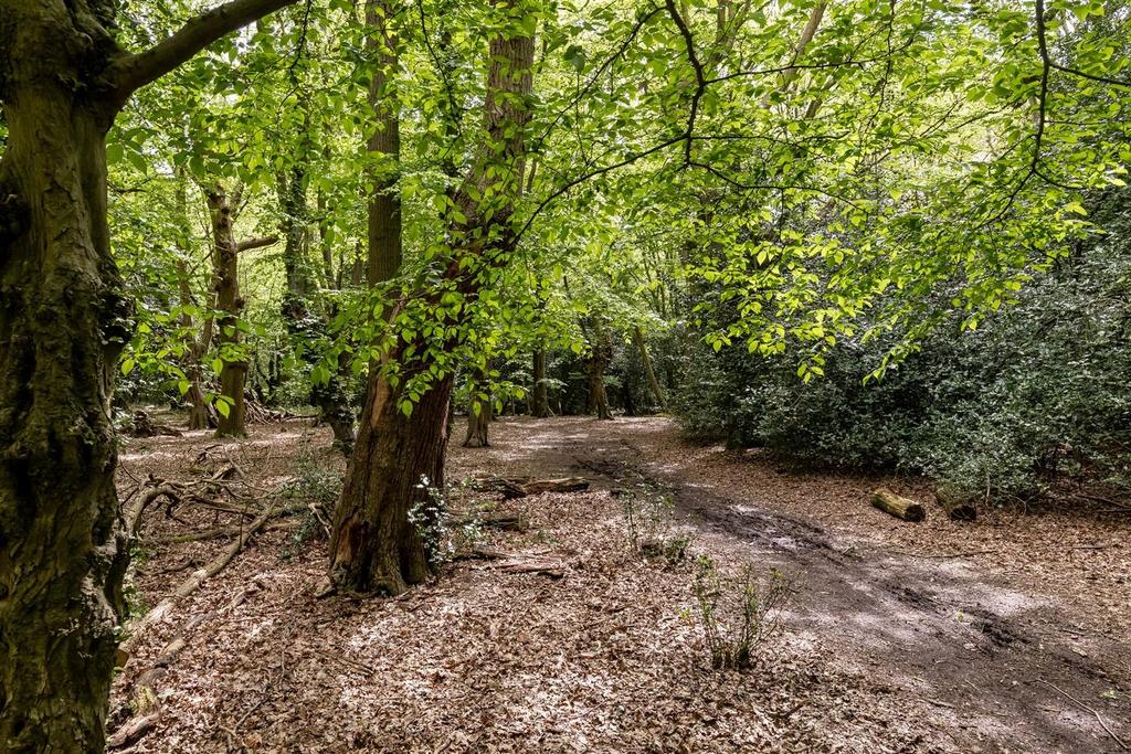 Nature Reserve