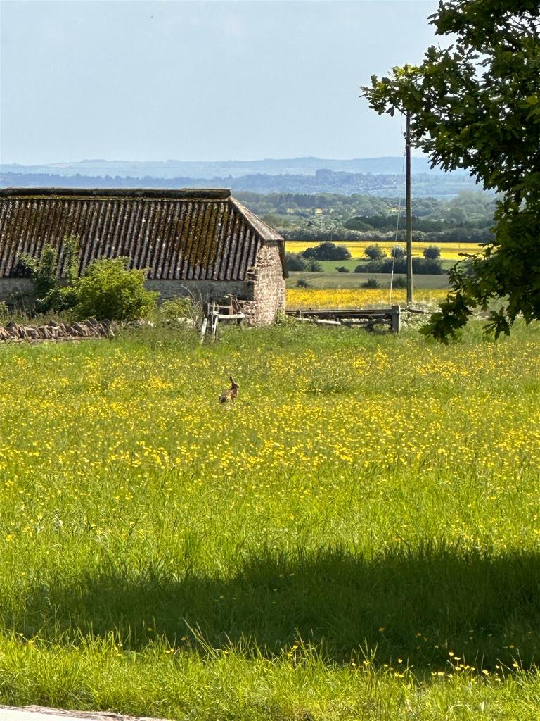 Cirencester GL7 5 bed detached house for sale £5,500,000
