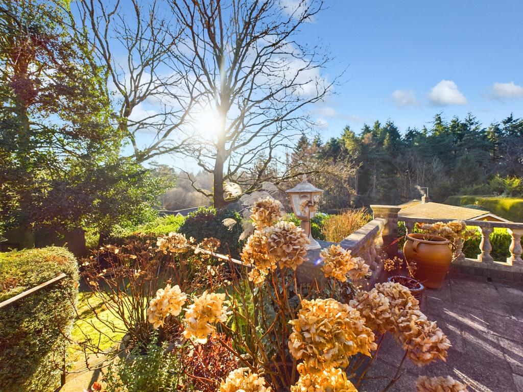View from Back of House