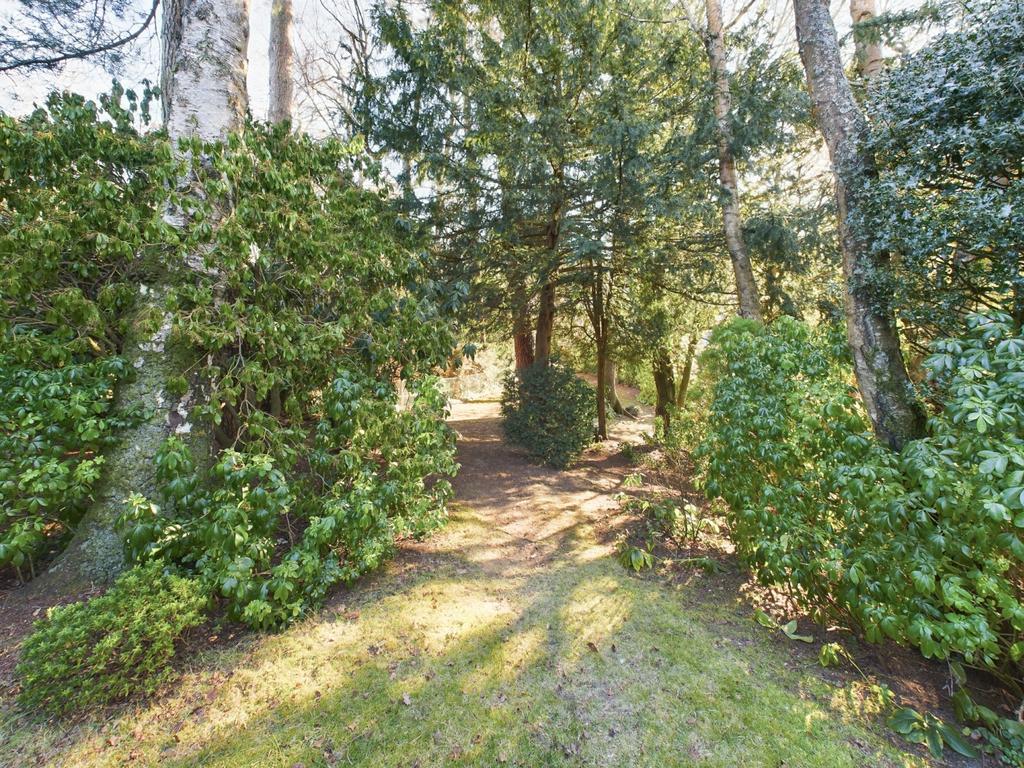 Woodland