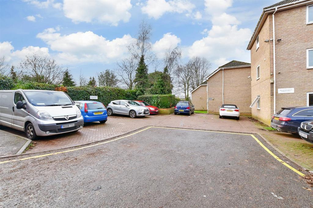 Driveway/Parking