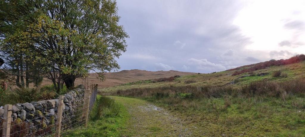 Access Road