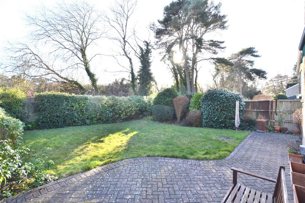 Garden 1.JPG