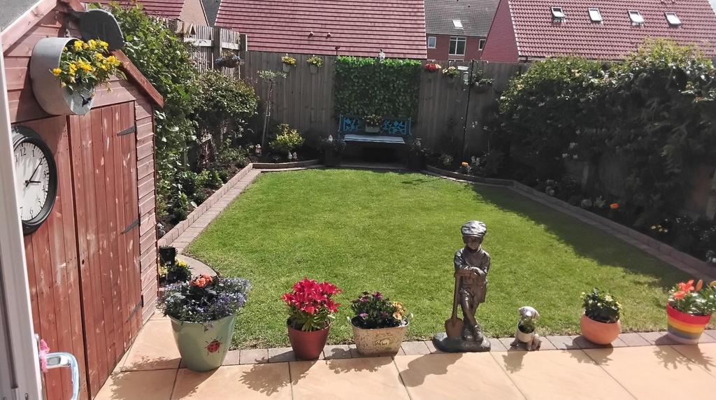 Garden.jpg