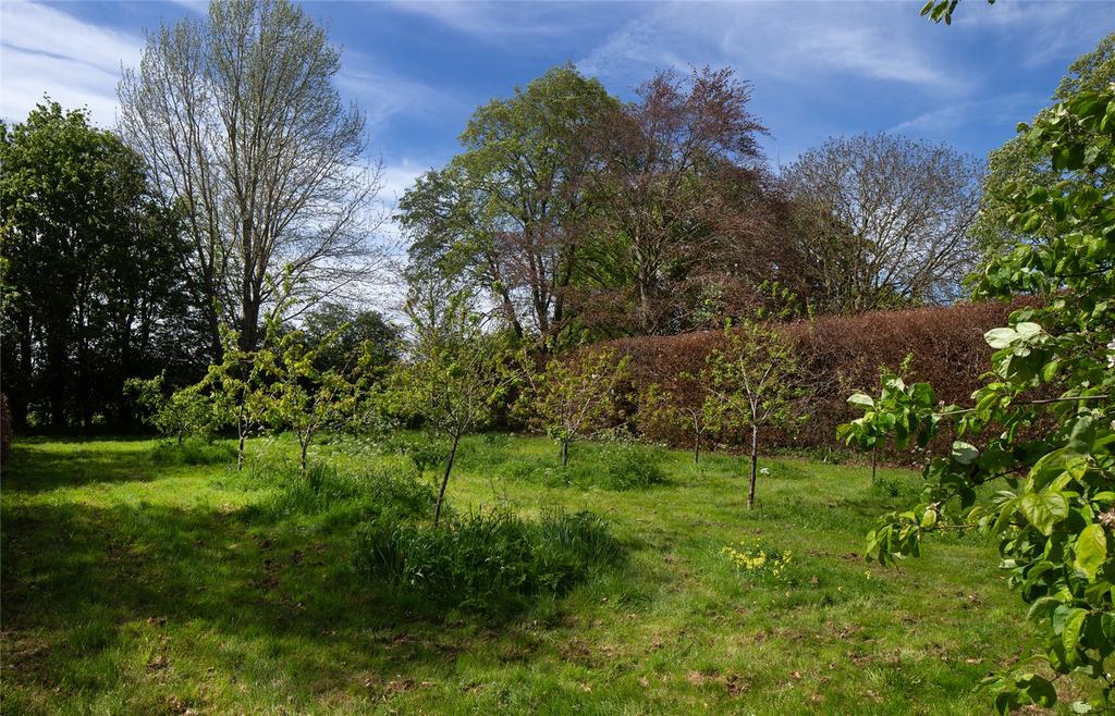 Orchard