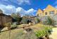Garden (1)