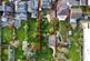 Garden (23)