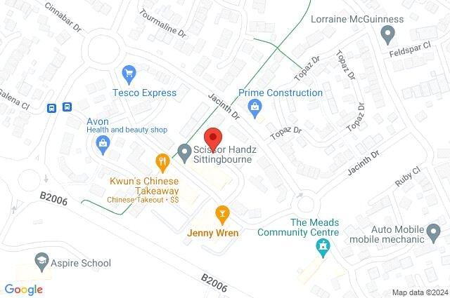 Google Maps Image