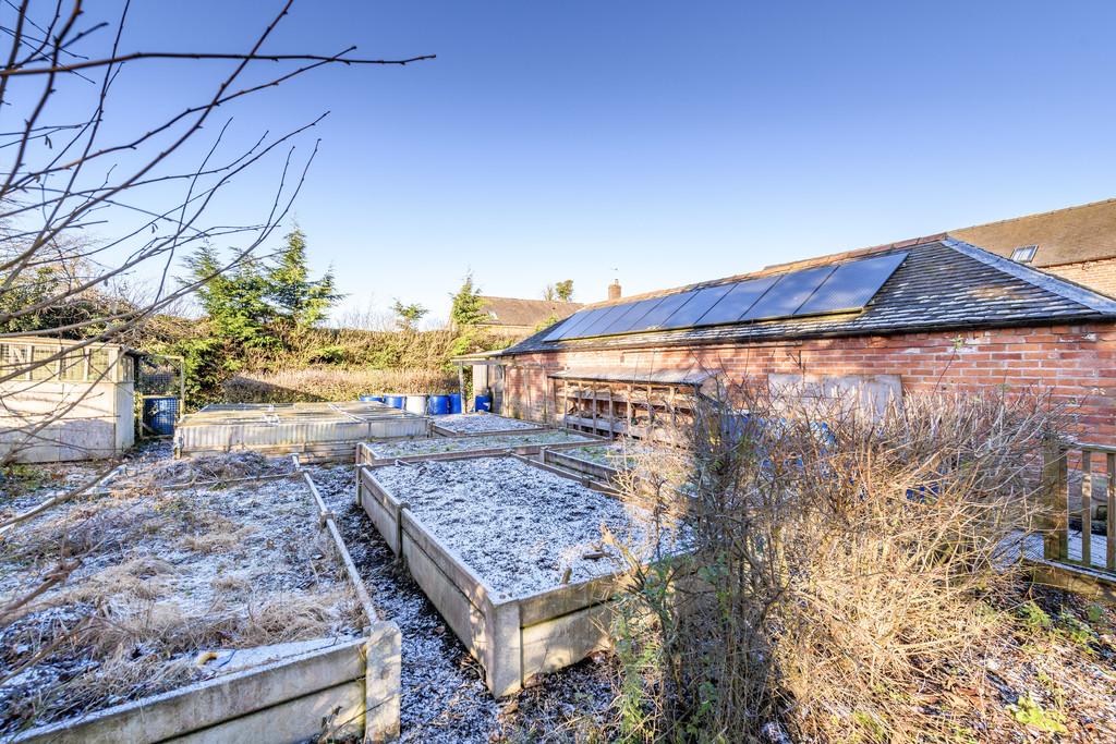 Vegetable Garden