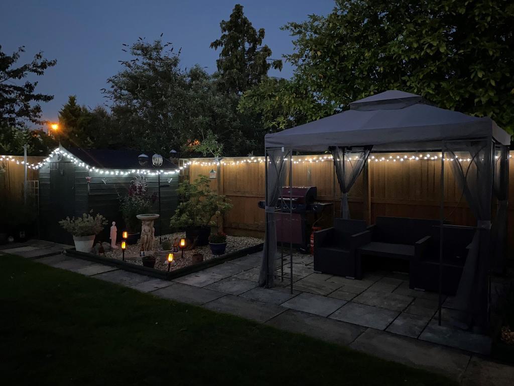 Garden at night
