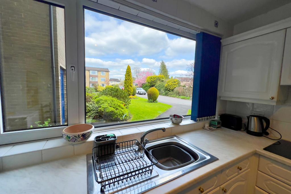 View from the Kitchen