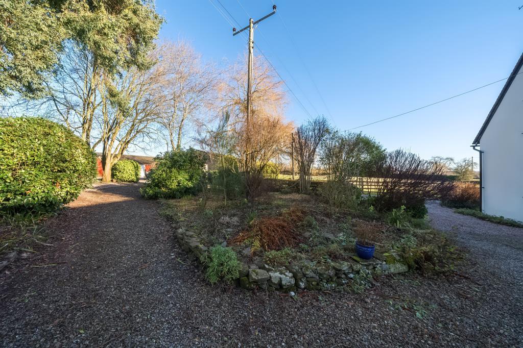 Photos