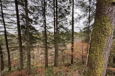 Land for sale, Lewdown, Devon