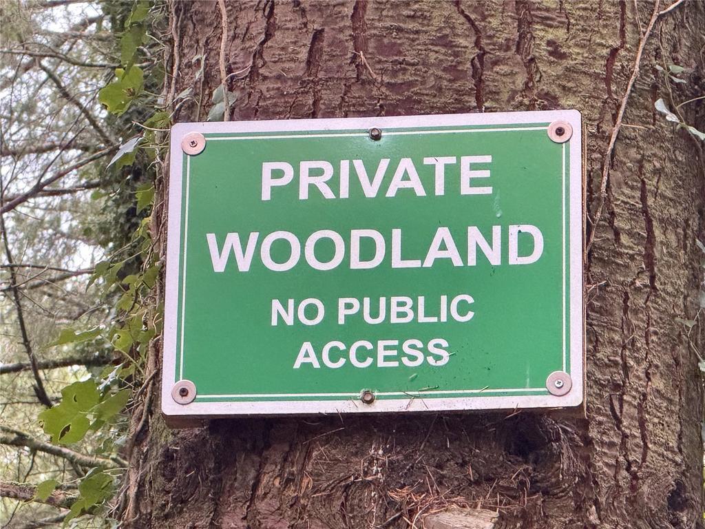 Private Woodland