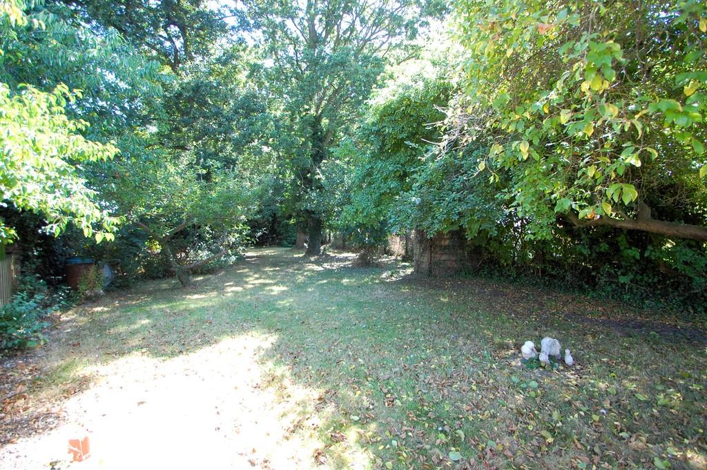 Dsc 0504