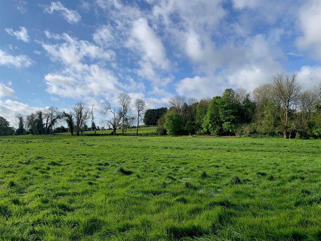 Jasmine Cottage - View.jpg