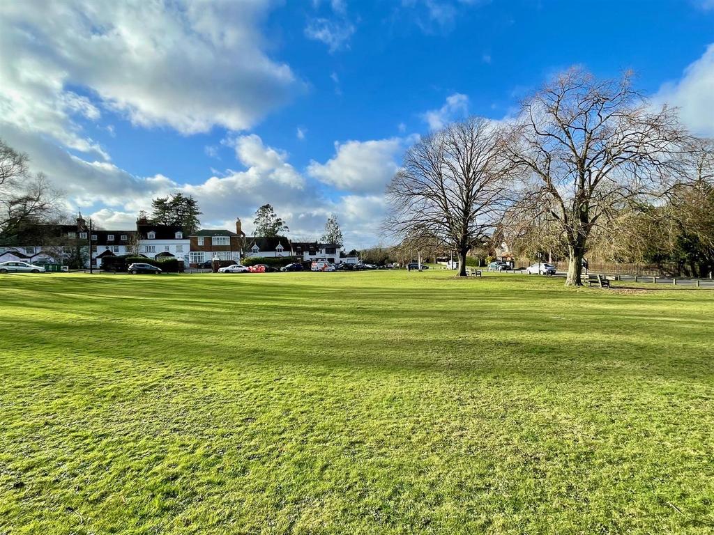 View over green