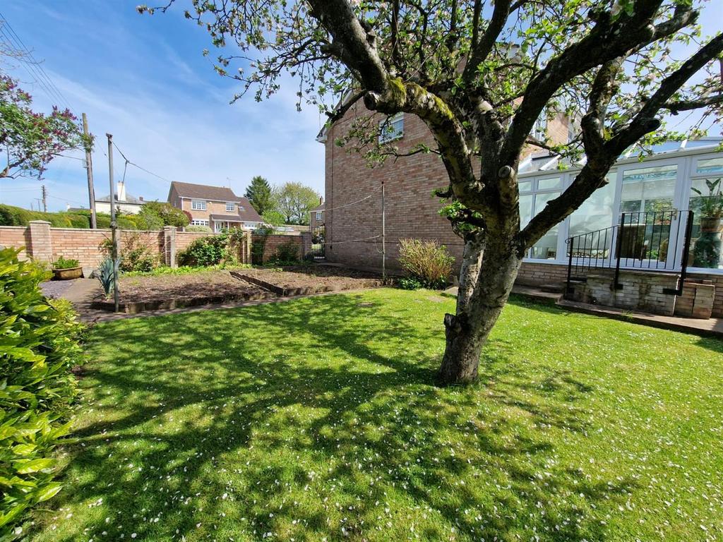Garden 3.jpeg