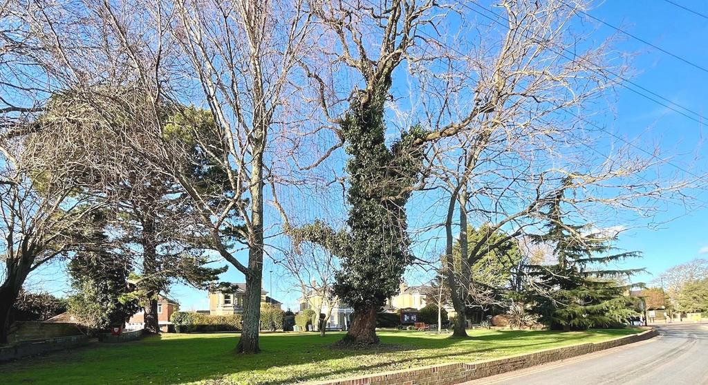Opposite the property