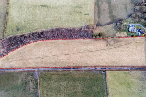 Land for sale, Field at Cavers Mains, “Doctor’s Strip”, Hawick, TD9 8LN