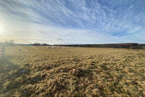 Land for sale, Field at Cavers Mains, “Doctor’s Strip”, Hawick, TD9 8LN