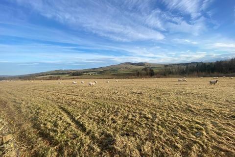 Land for sale, Field at Cavers Mains, “Doctor’s Strip”, Hawick, TD9 8LN