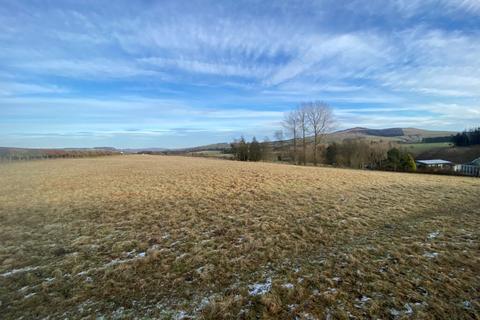 Land for sale, Field at Cavers Mains, “Doctor’s Strip”, Hawick, TD9 8LN