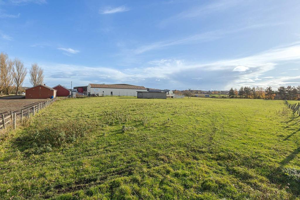 Field