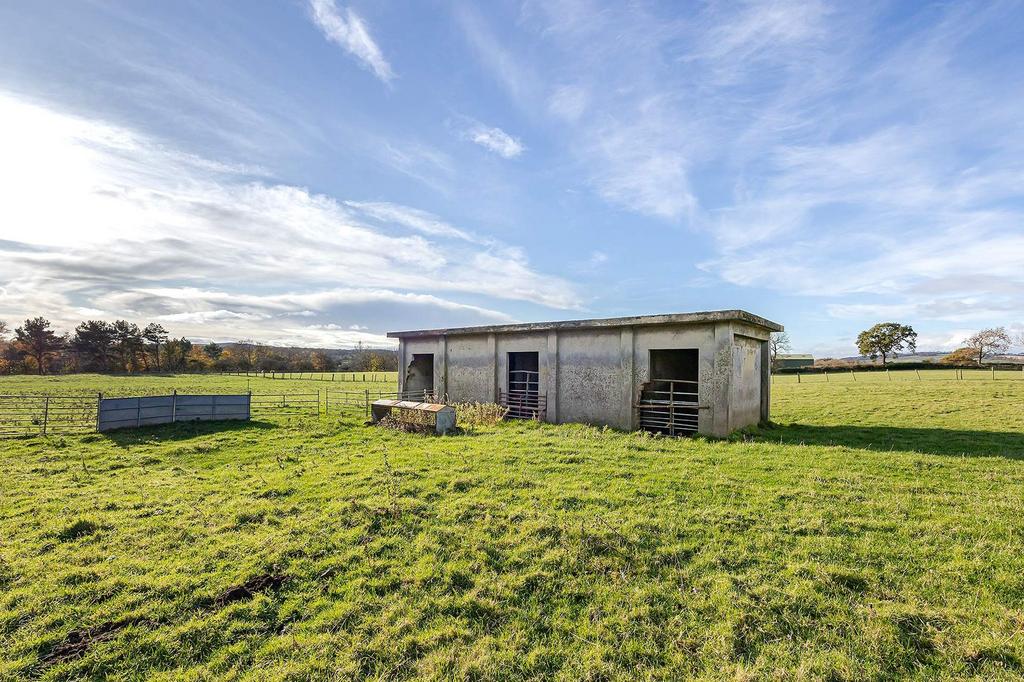 Field