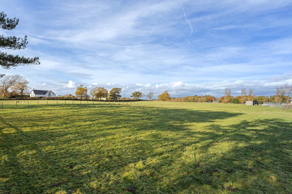 Field