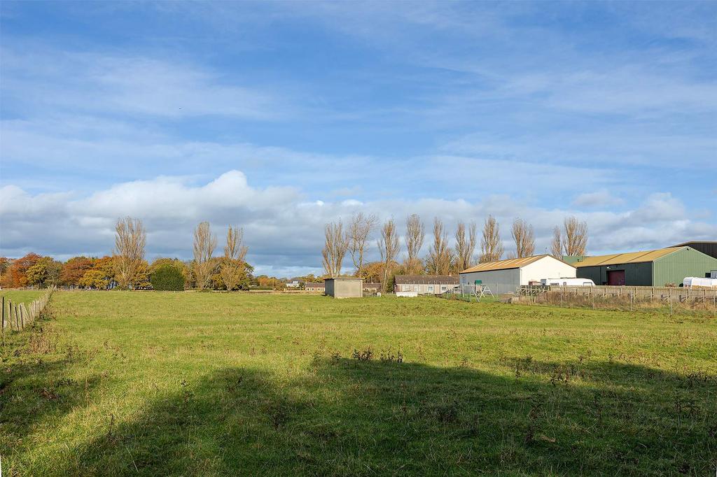 Field