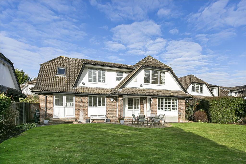 Rear Elevation