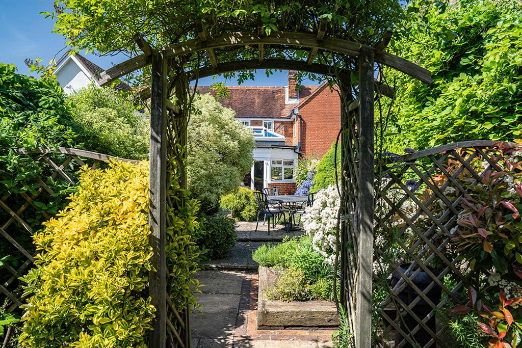 View through garden