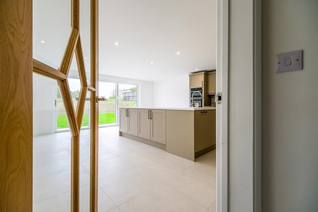 1440px-Elm Tree View 13