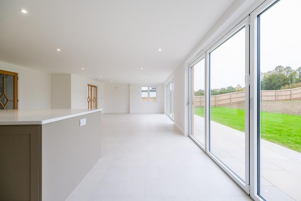 1440px-Elm Tree View 25