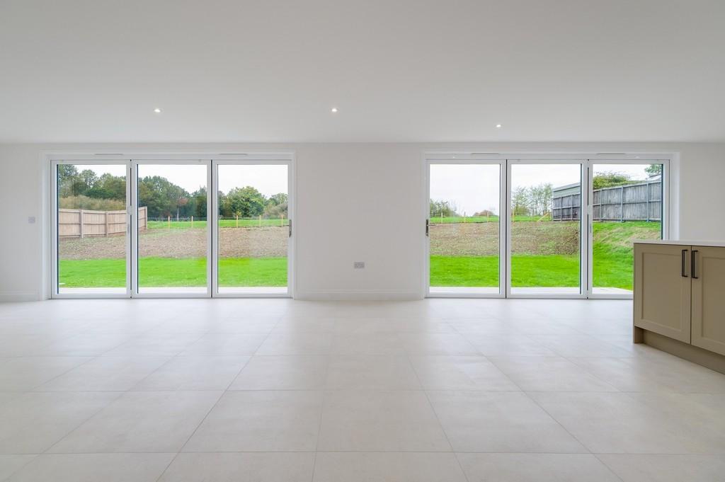 1440px-Elm Tree View 27
