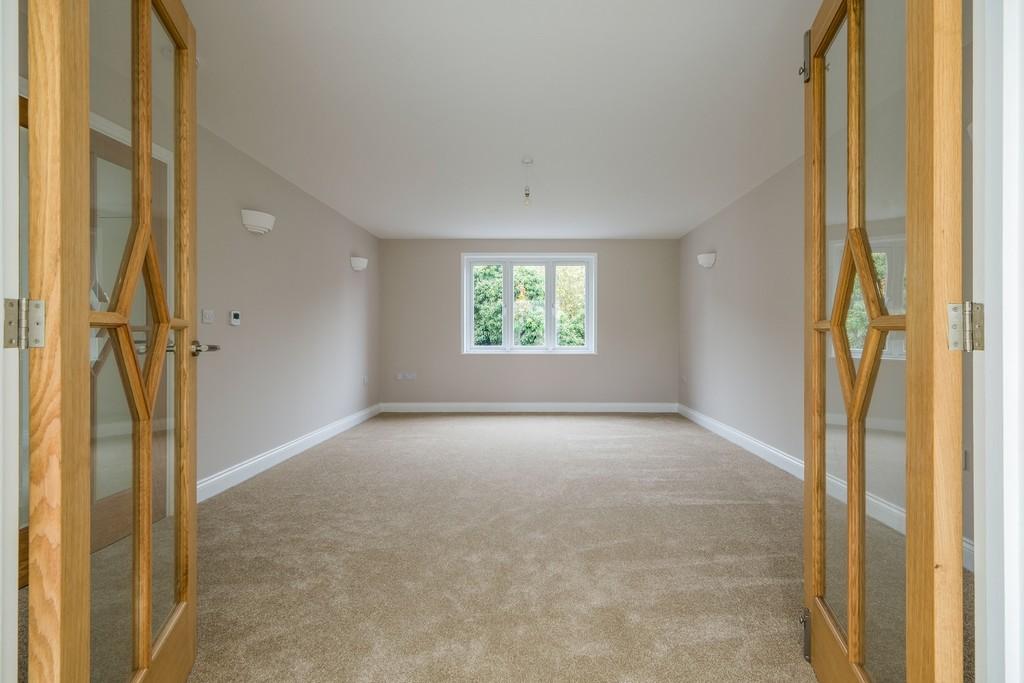 1440px-Elm Tree View 29