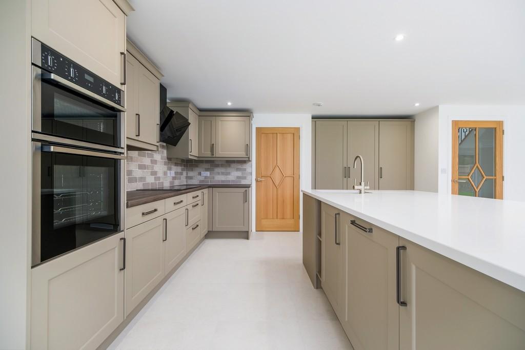 1440px-Elm Tree View 14
