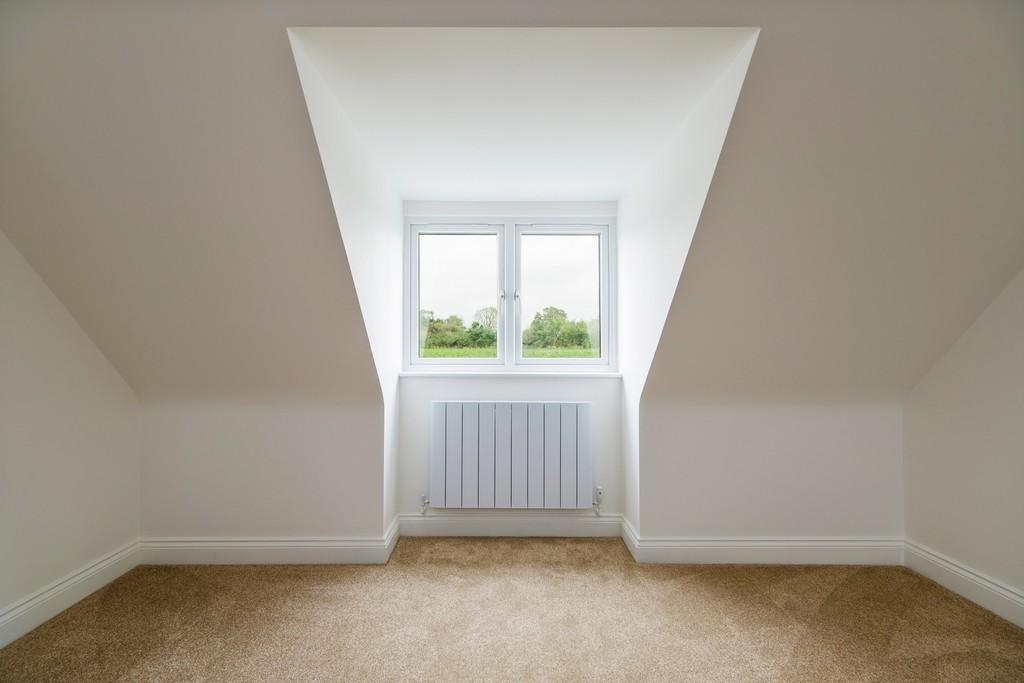 1440px-Elm Tree View 40