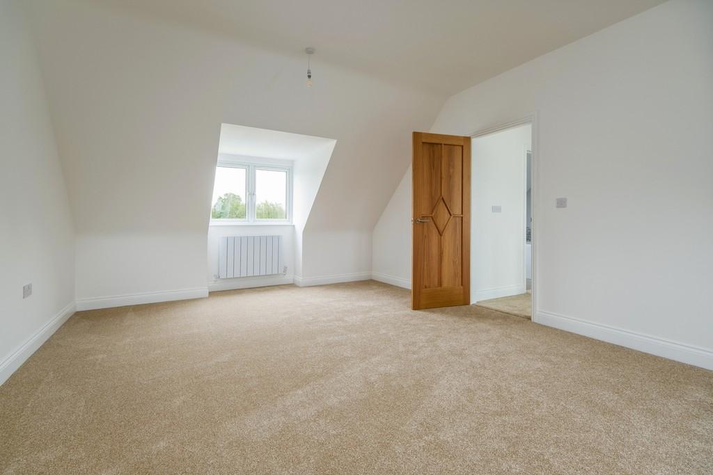 1440px-Elm Tree View 44