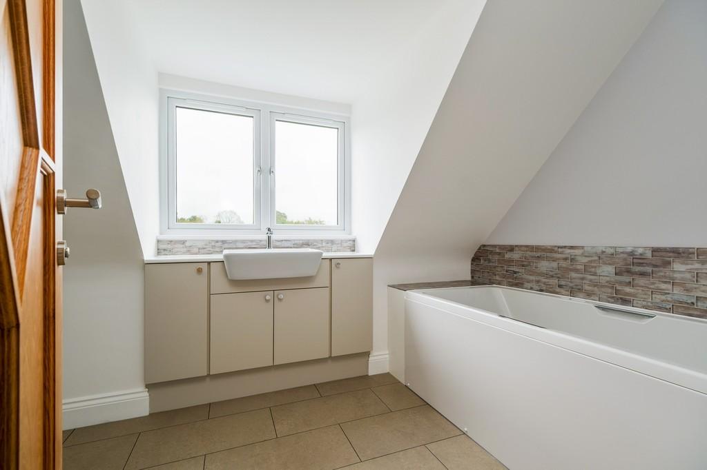 1440px-Elm Tree View 46