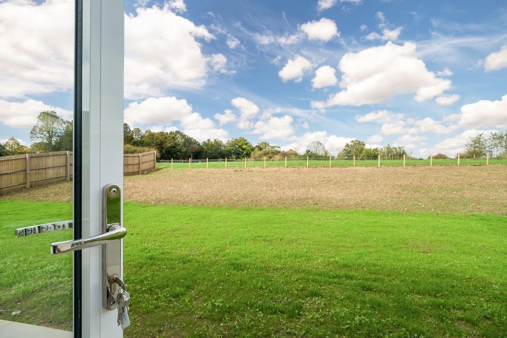 1440px-Elm Tree View 48