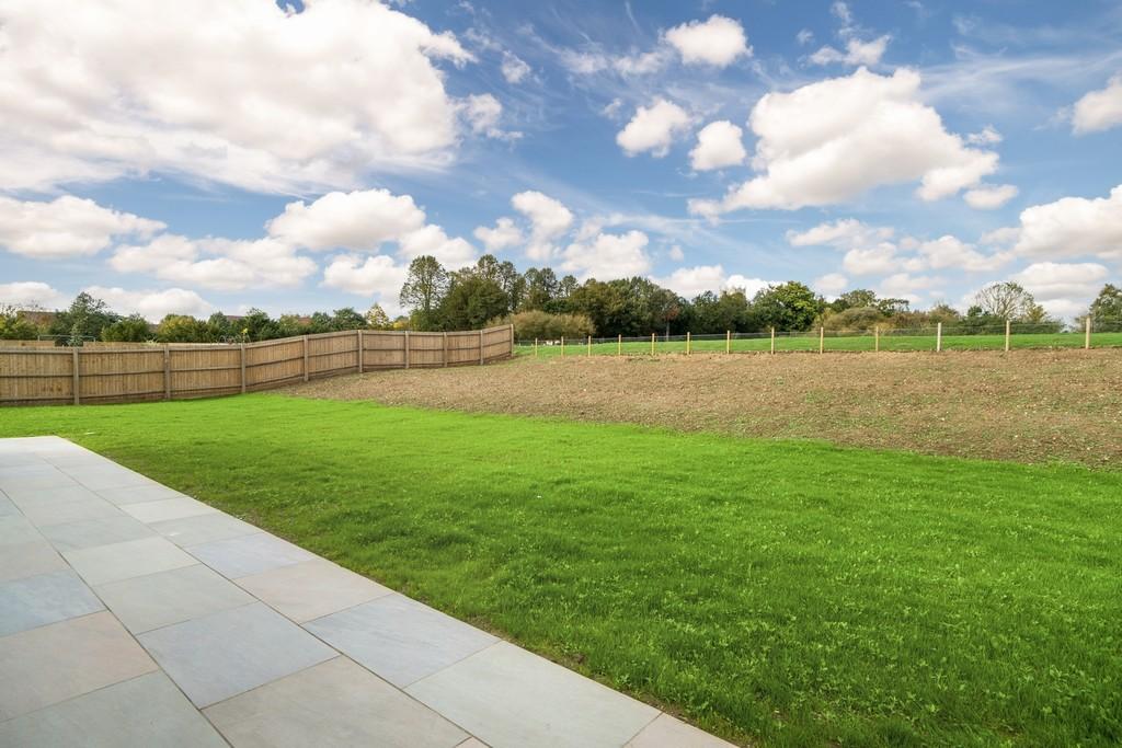 1440px-Elm Tree View 49