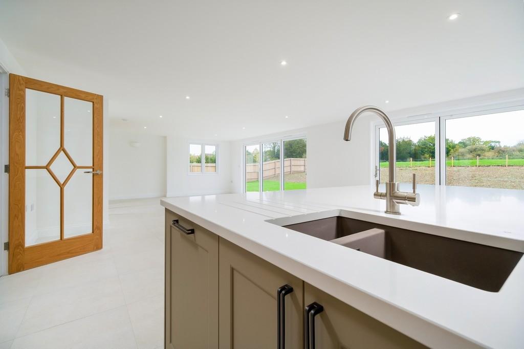 1440px-Elm Tree View 15