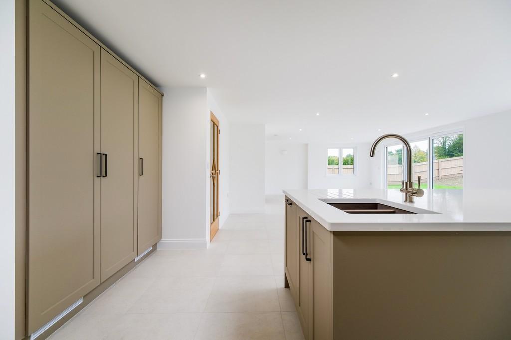 1440px-Elm Tree View 17